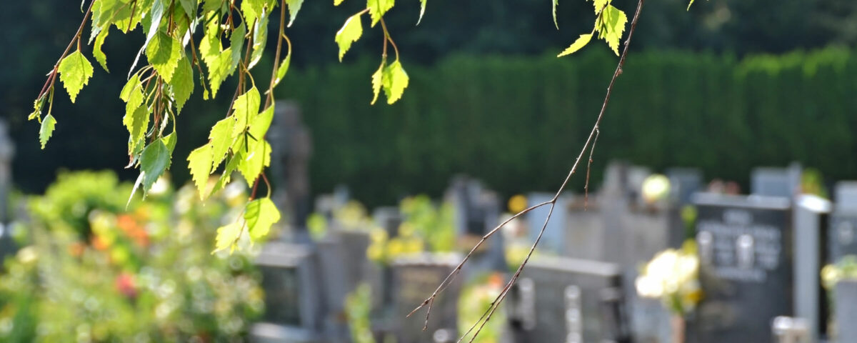 Symbolfoto eines Friedhofs
